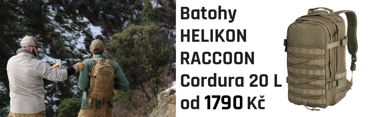 raccoon-1.jpg